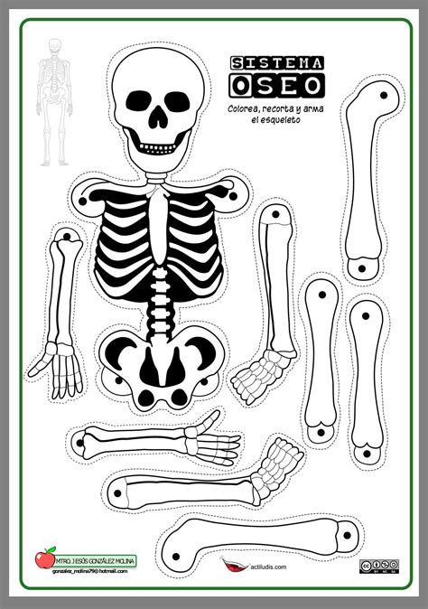 Esqueleto humano para imprimir recortar e montar  Postagens relacionadas: Mascaras de Animais para colorir e recortar 30 MODELOS CARTÕES